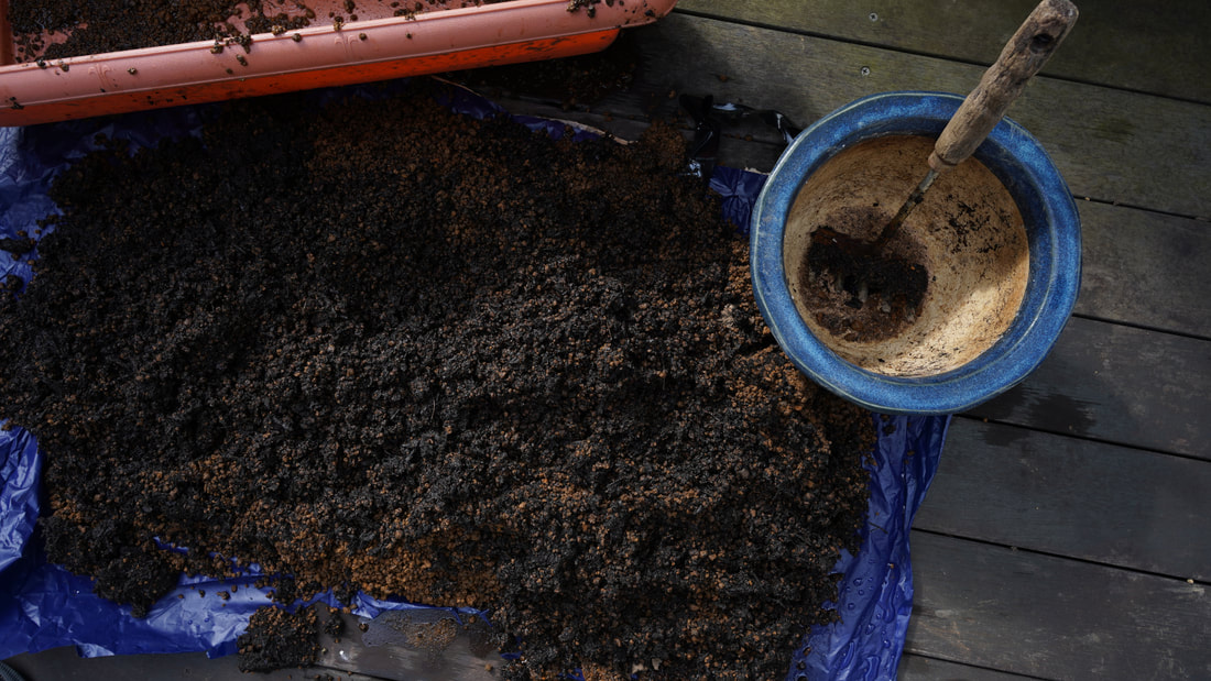 土に熱湯をかけた時の濡れた培養土と赤土玉の写真